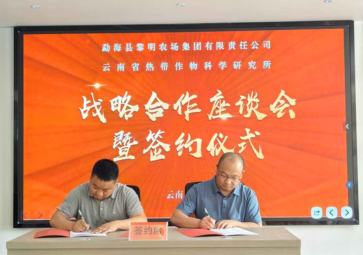 云南省热作所与勐海县黎明农场集团签署战略合作框架…