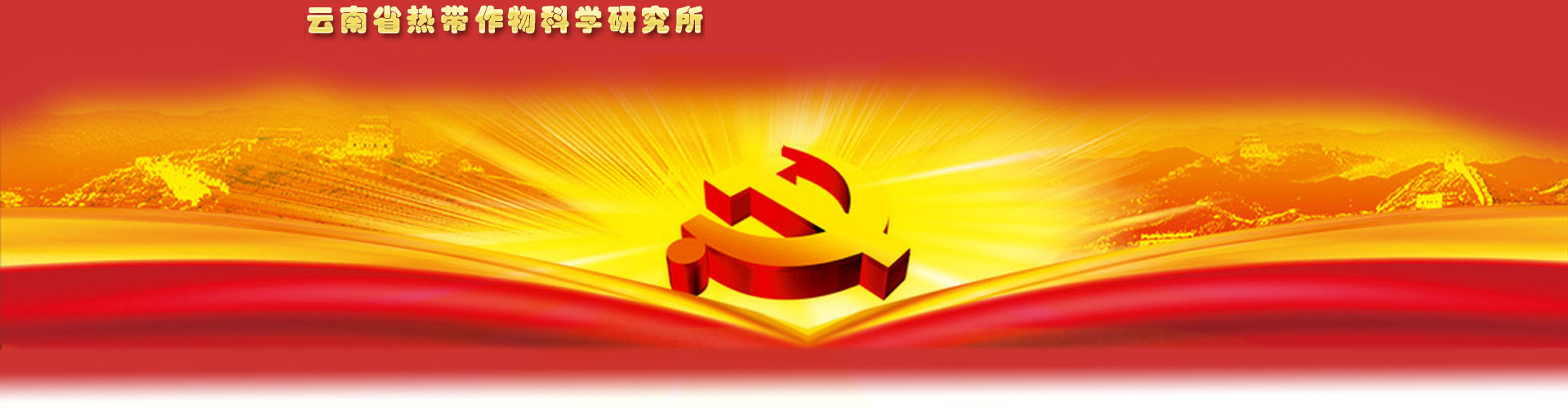 首页