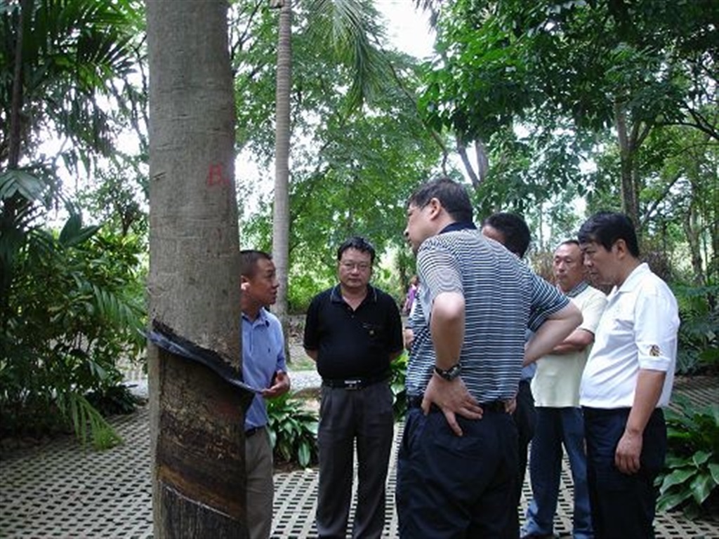 201908230823113851_S