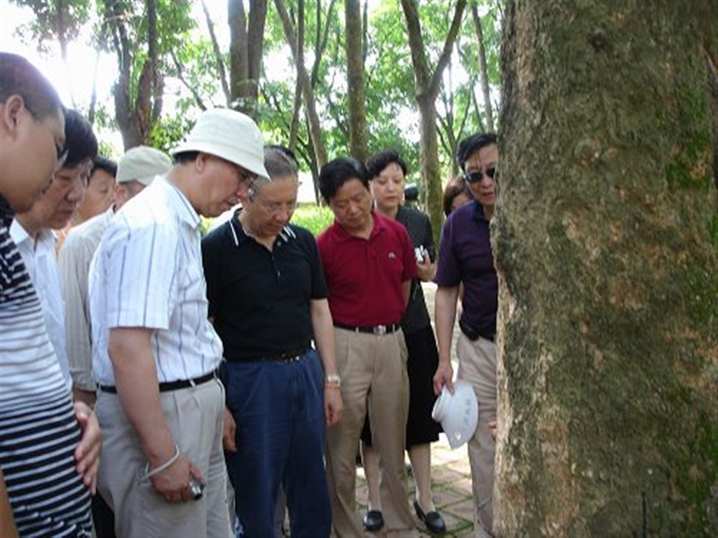 201908230823118430_S