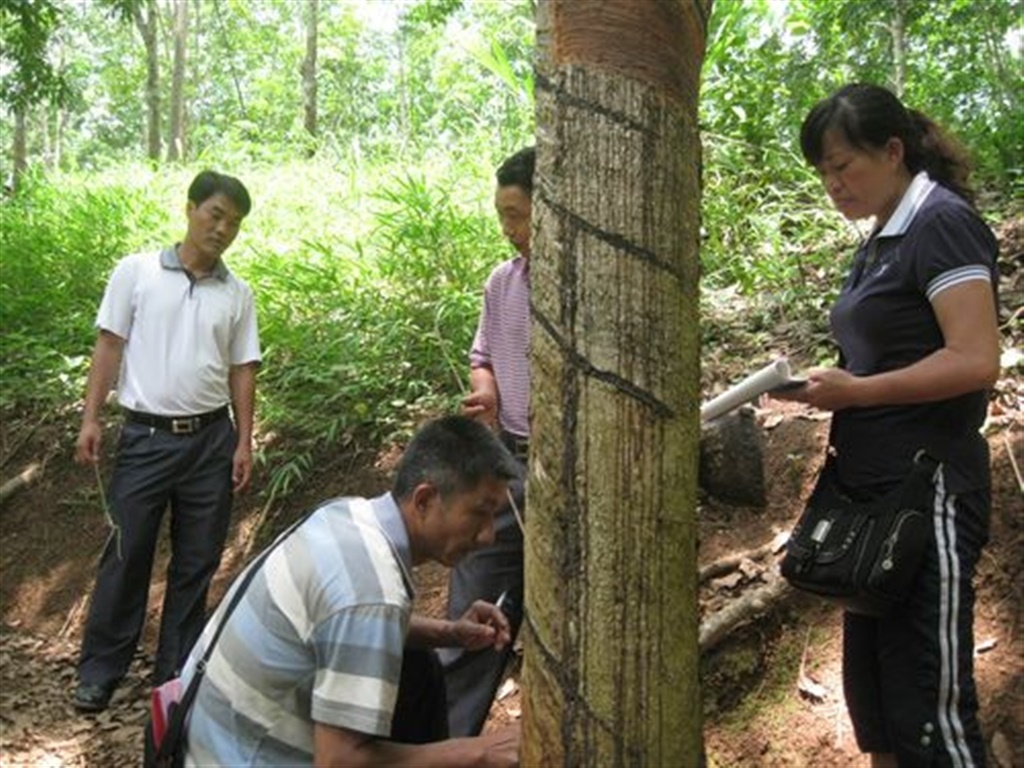 201908230823351681_S