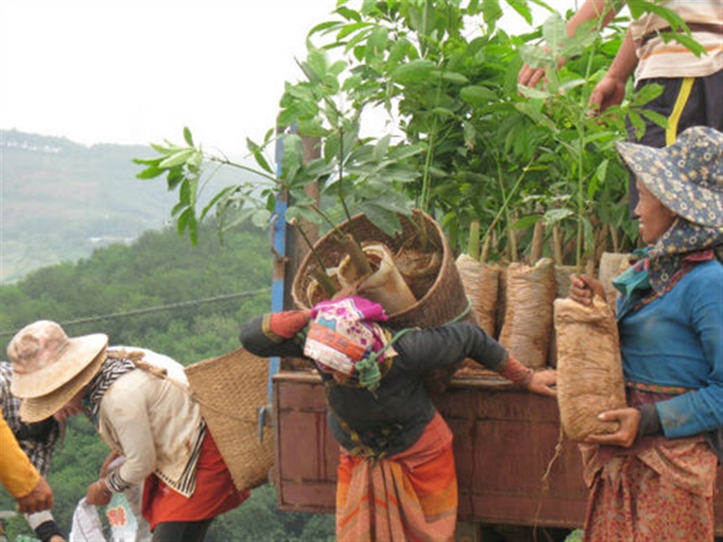 201908230823397792_S