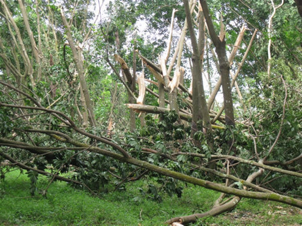 201908230823400739_S