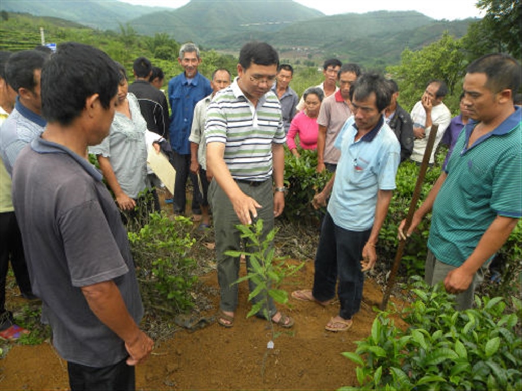 201908230824115436_S