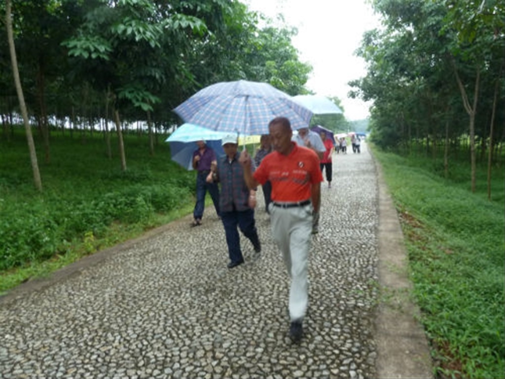 201908230824145401_S