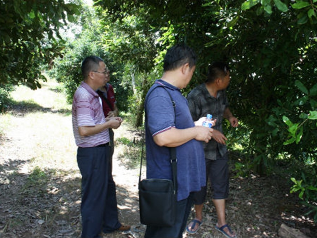 201908230824166867_S