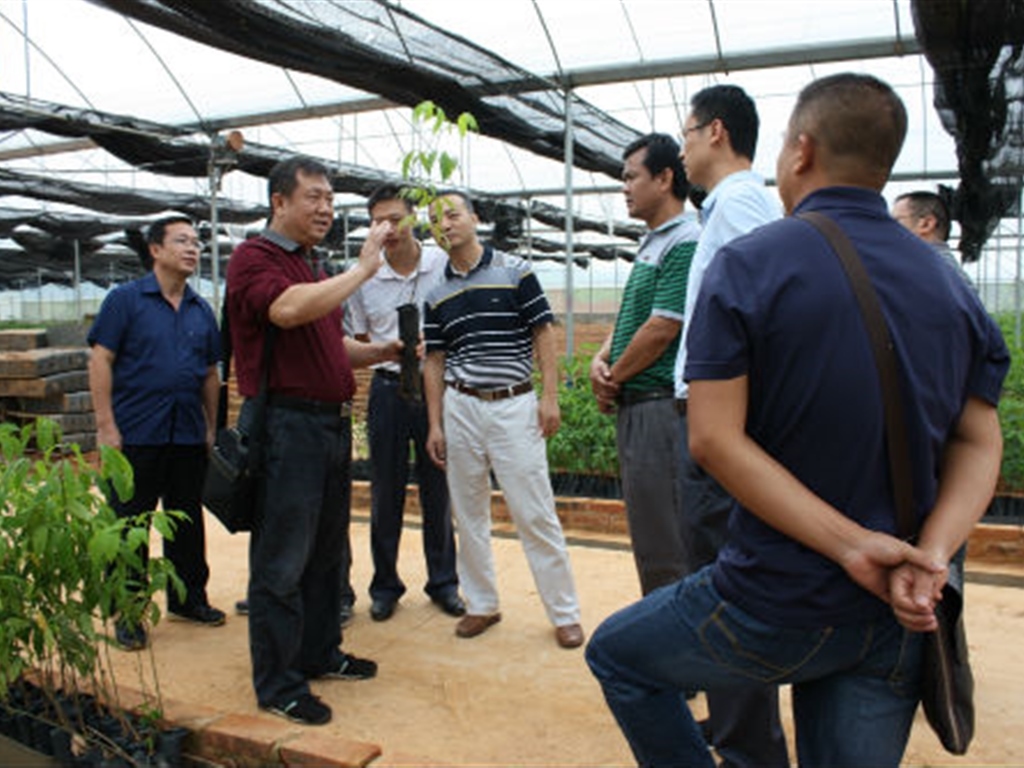 201908230824197567_S