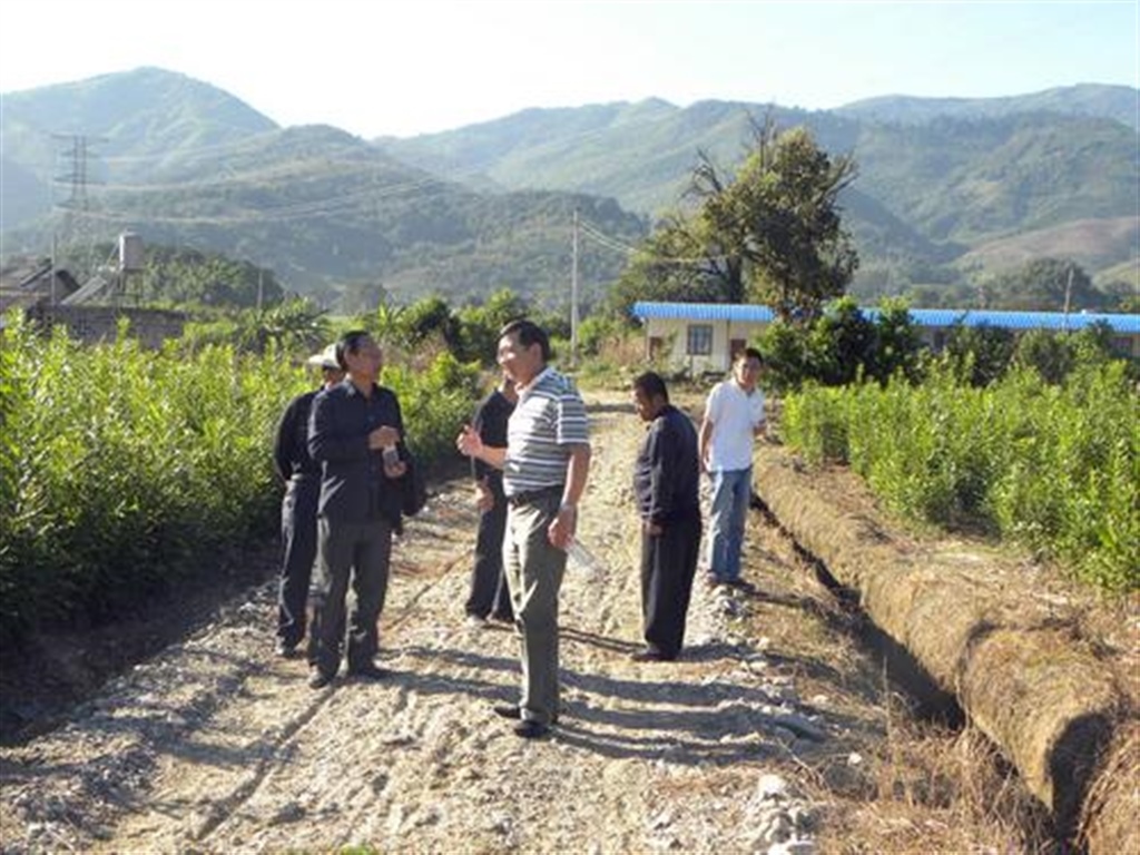 201908230824230996_S