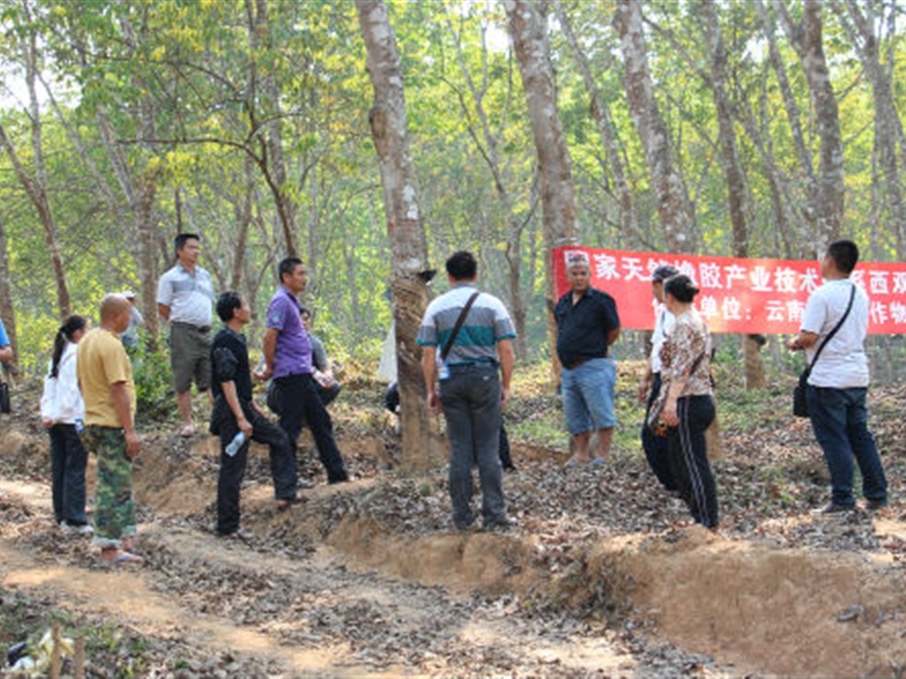 201908230824341442_S