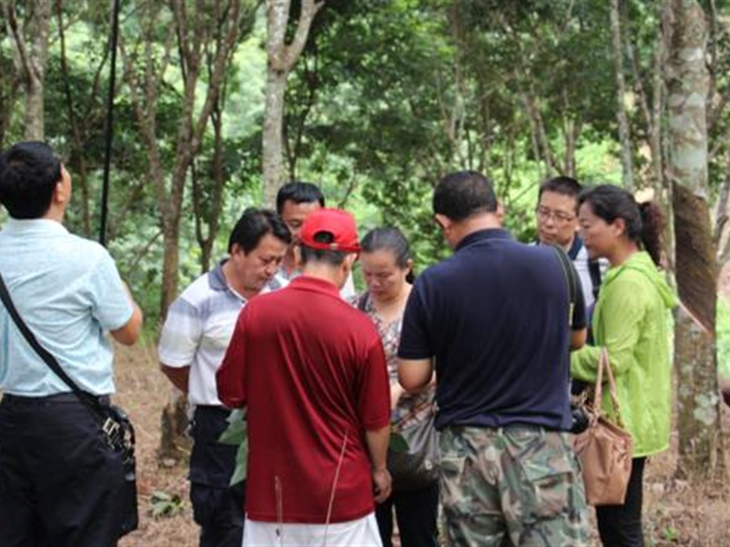 201908230824367206_S