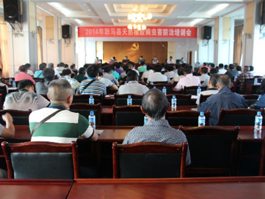 201908230824383386_S