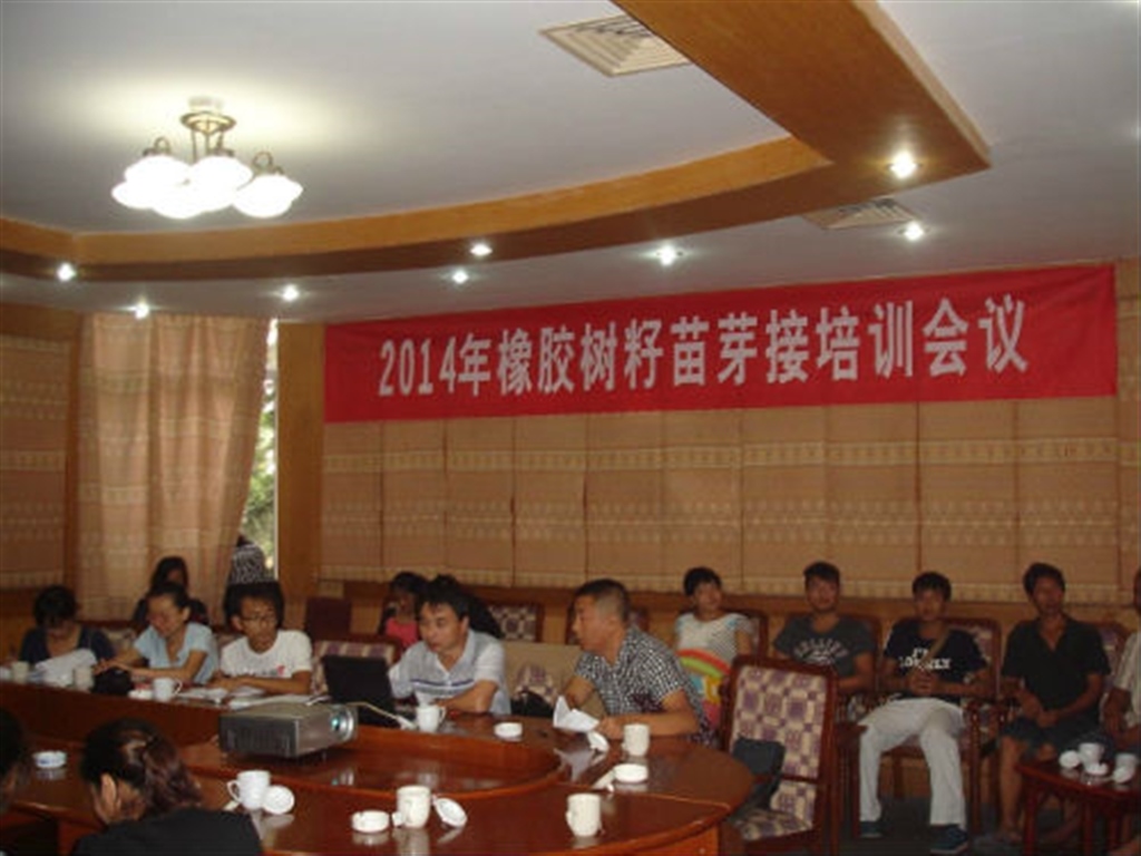 201908230824393825_S