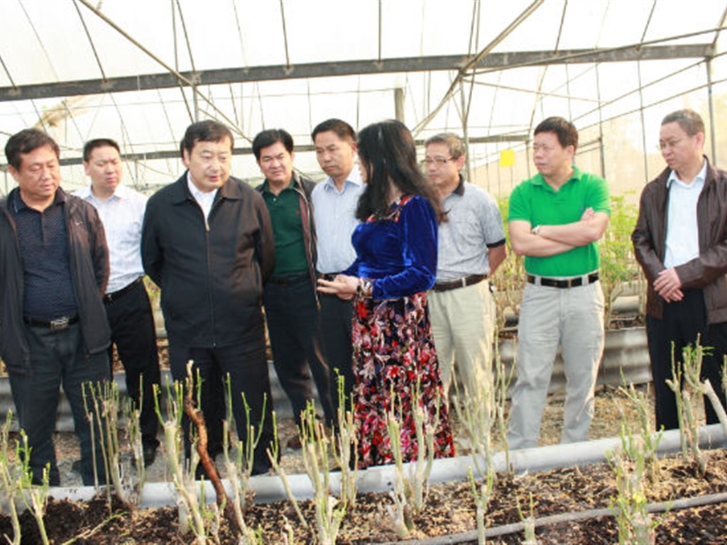 201908230824491455_S