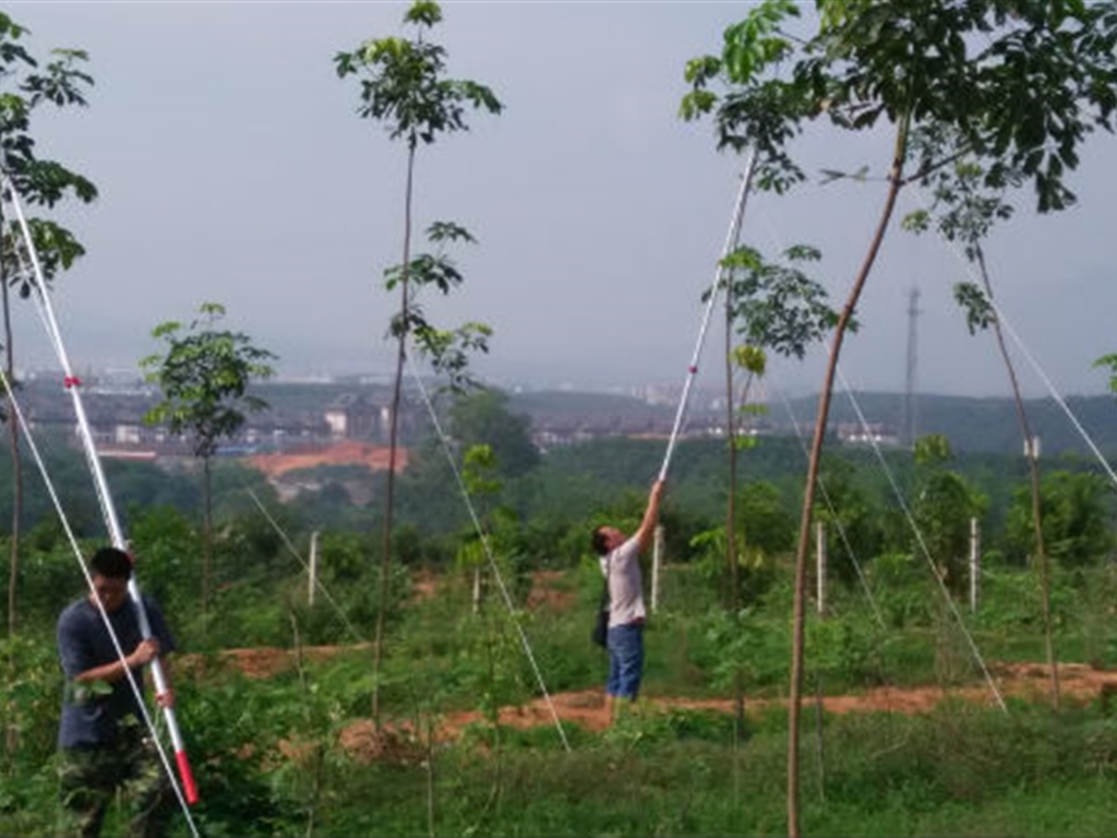 201908230824553852_S