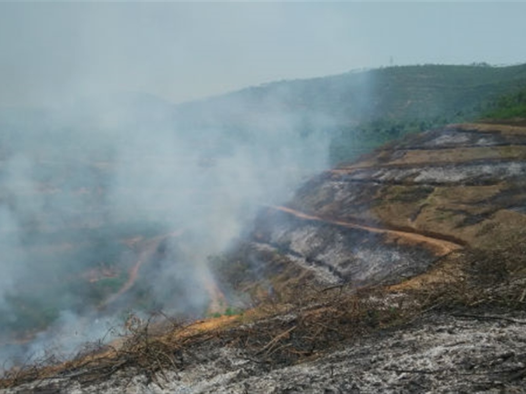 201908230824554558_S