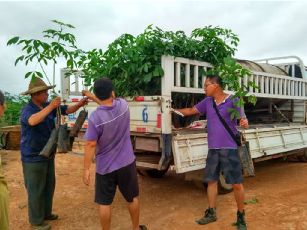 201908230824561916_S