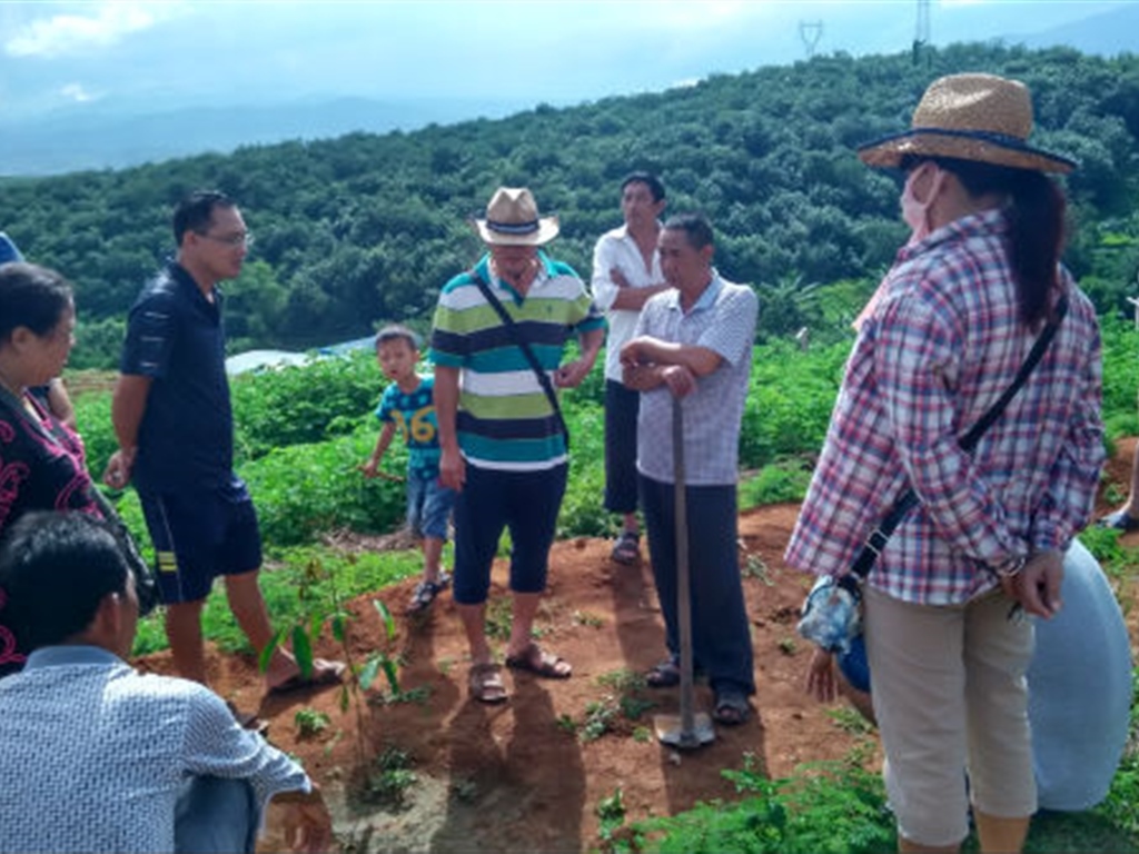 201908230825035204_S