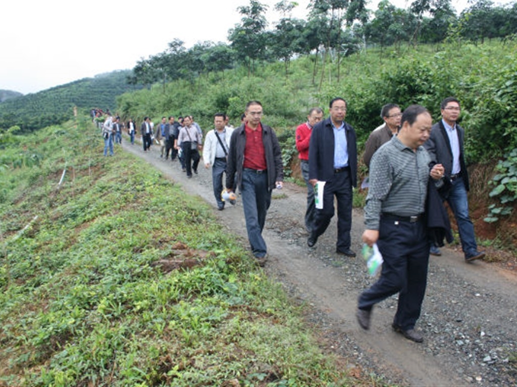 201908230825044079_S