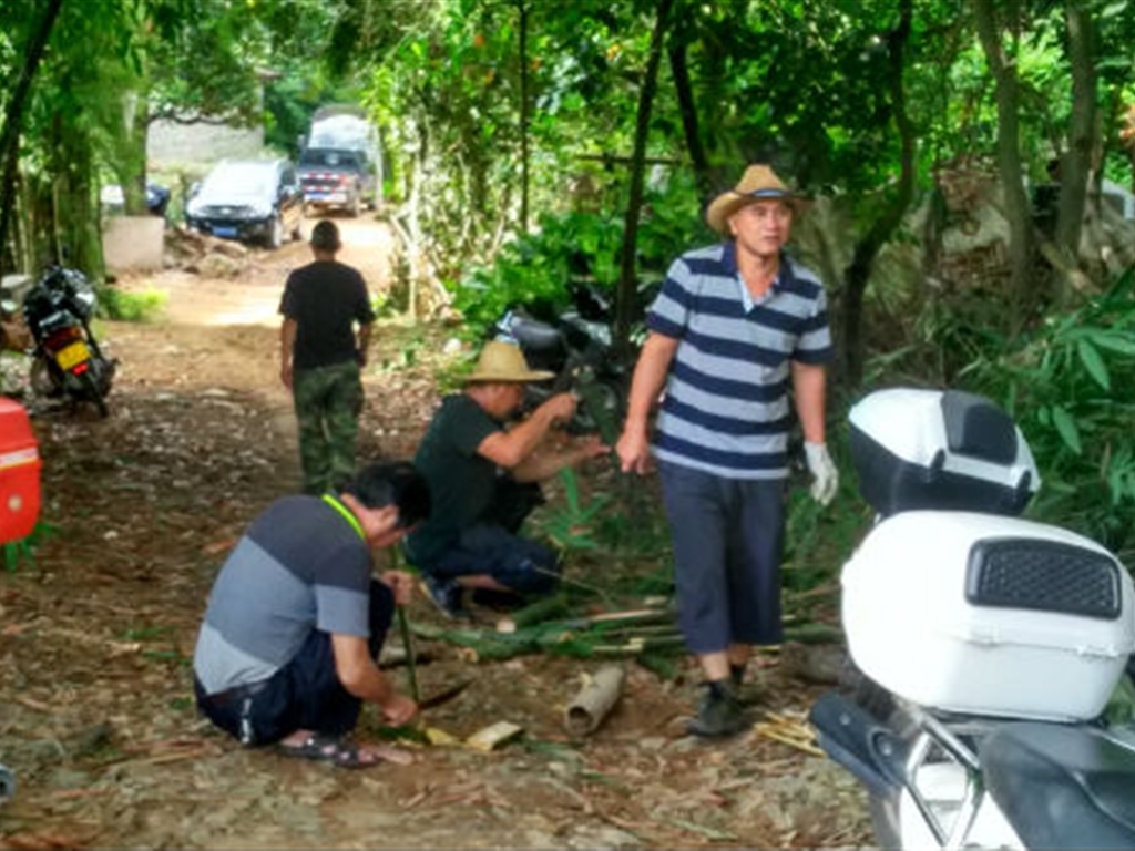 201908230825046006_S