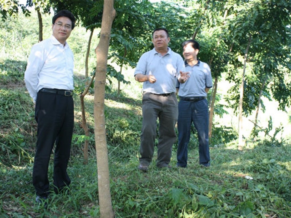 201908230825066883_S