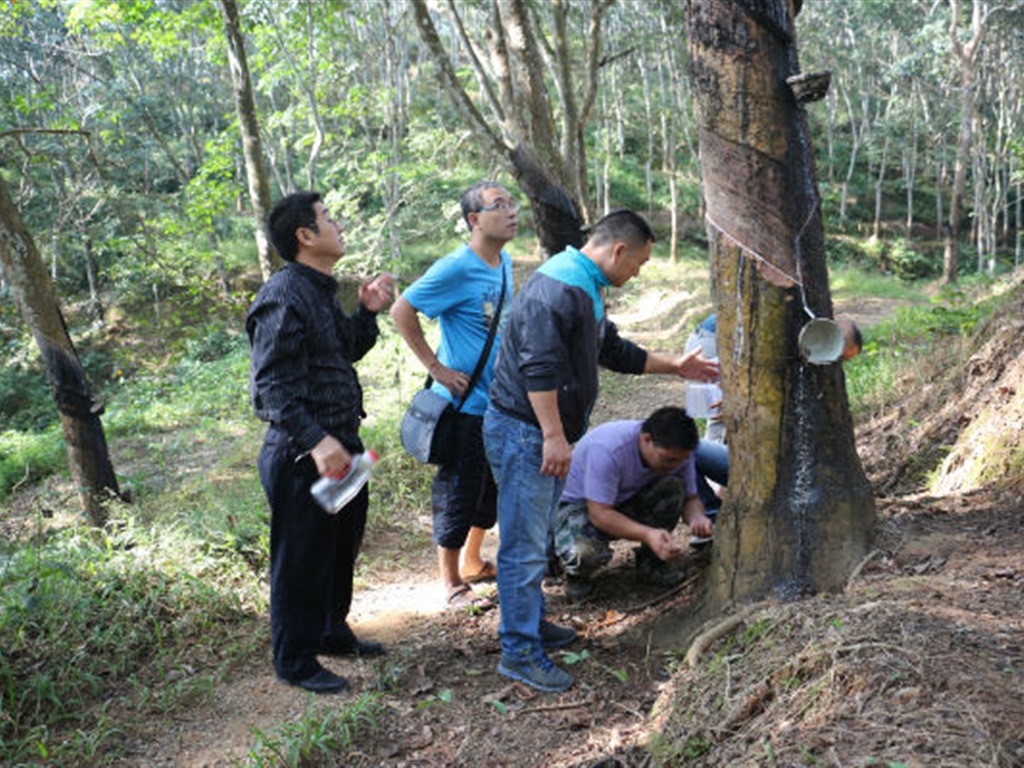 201908230825078369_S