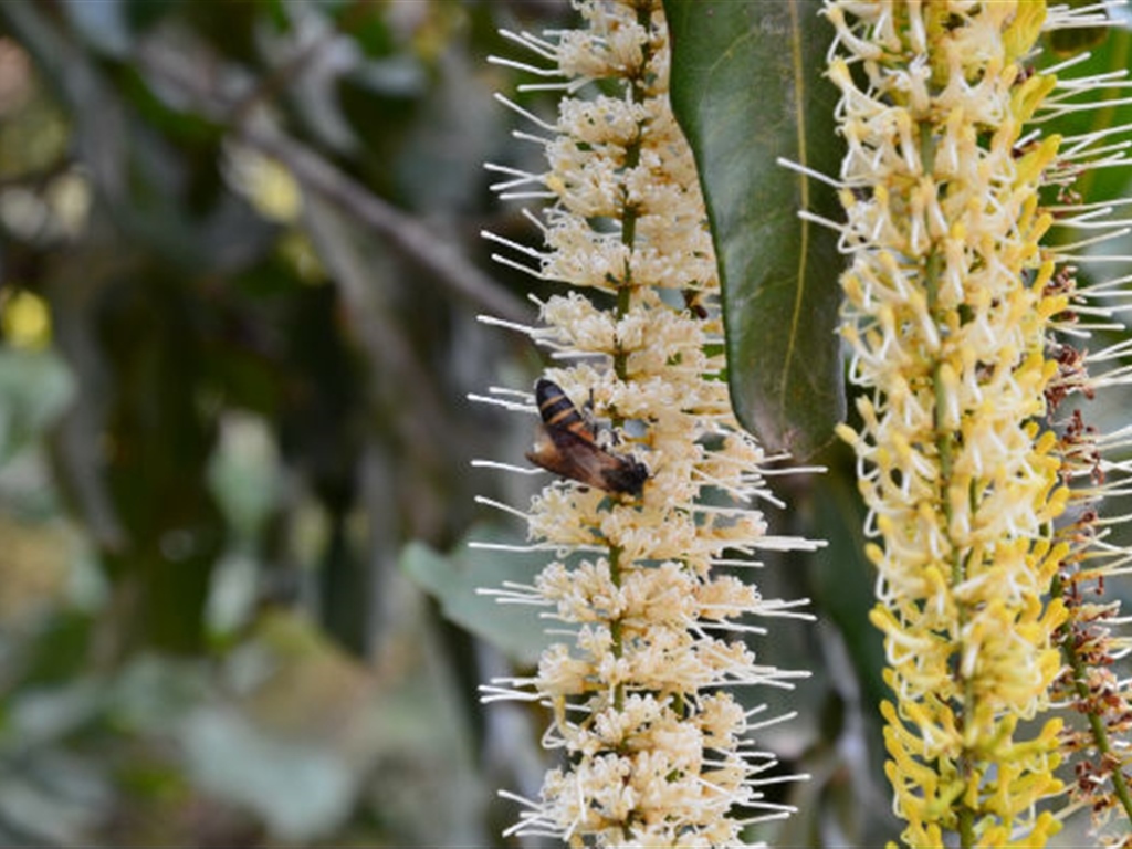 201908230825152727_S