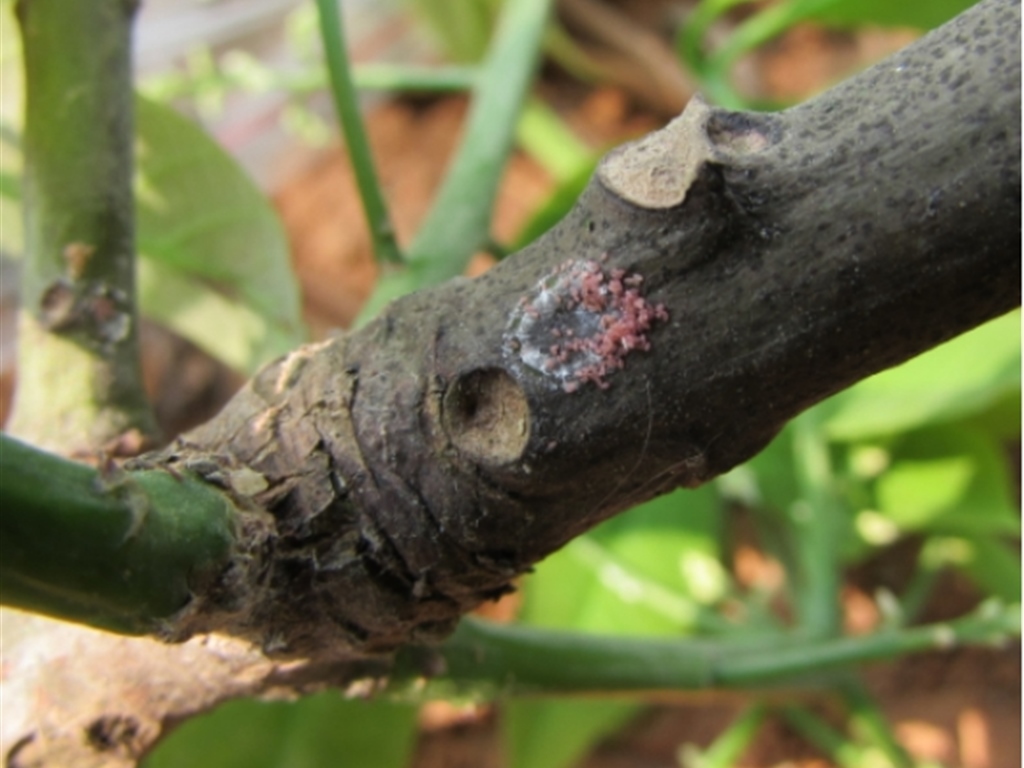 201908230825164661_S