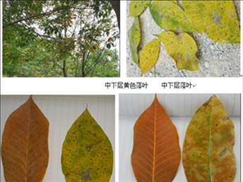 201908230825176876_S