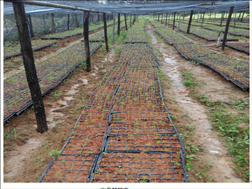 201908230825205274_S