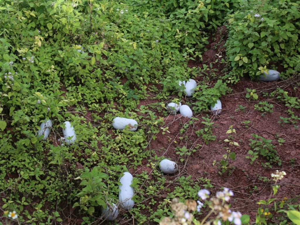 201908230825314348_S