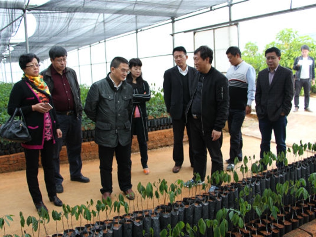 201908230825336222_S