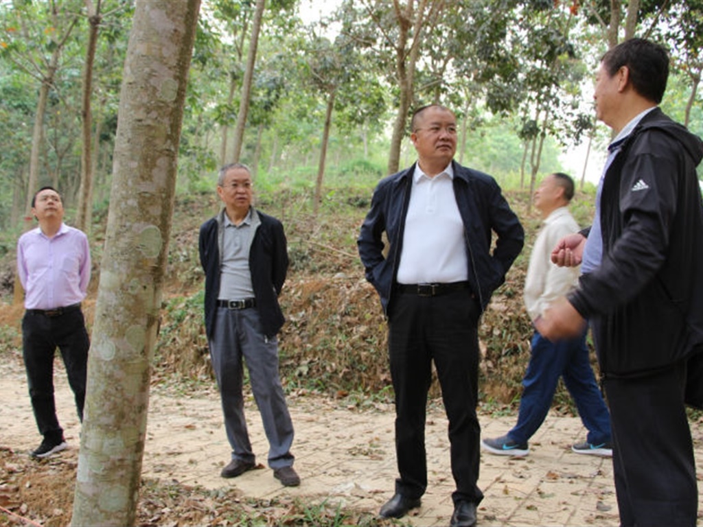 201908230826335925_S