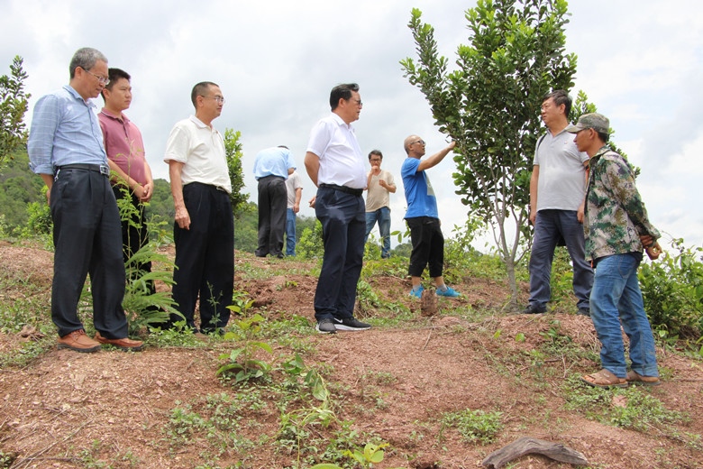 省农垦局党委书记李国臣到省热作所挂钩扶贫点检查扶贫工作