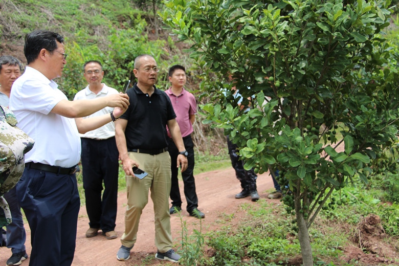 省农垦局党委书记李国臣到省热作所挂钩扶贫点检查扶贫工作