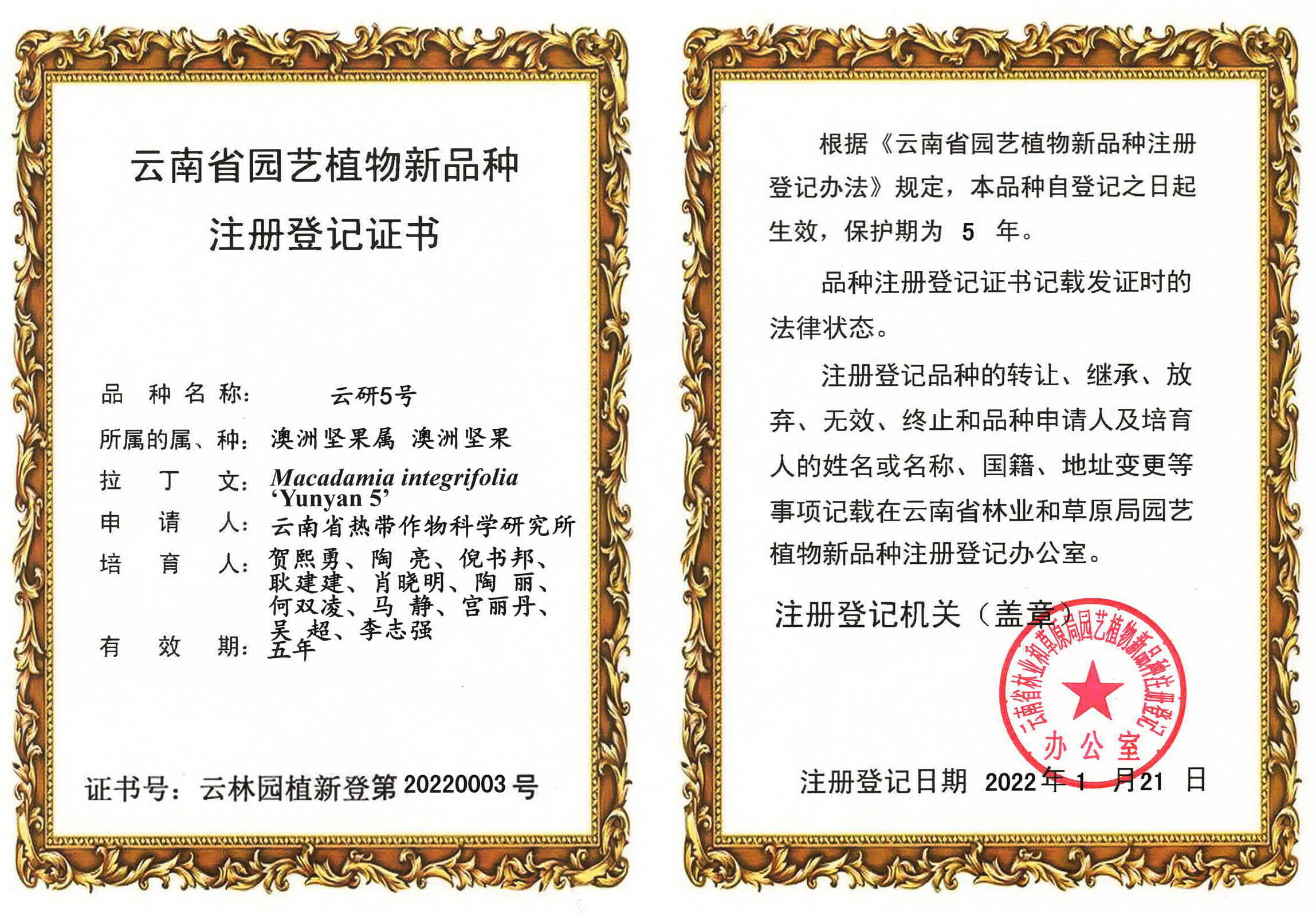 植物新品种云研5号注册登记证书.jpg