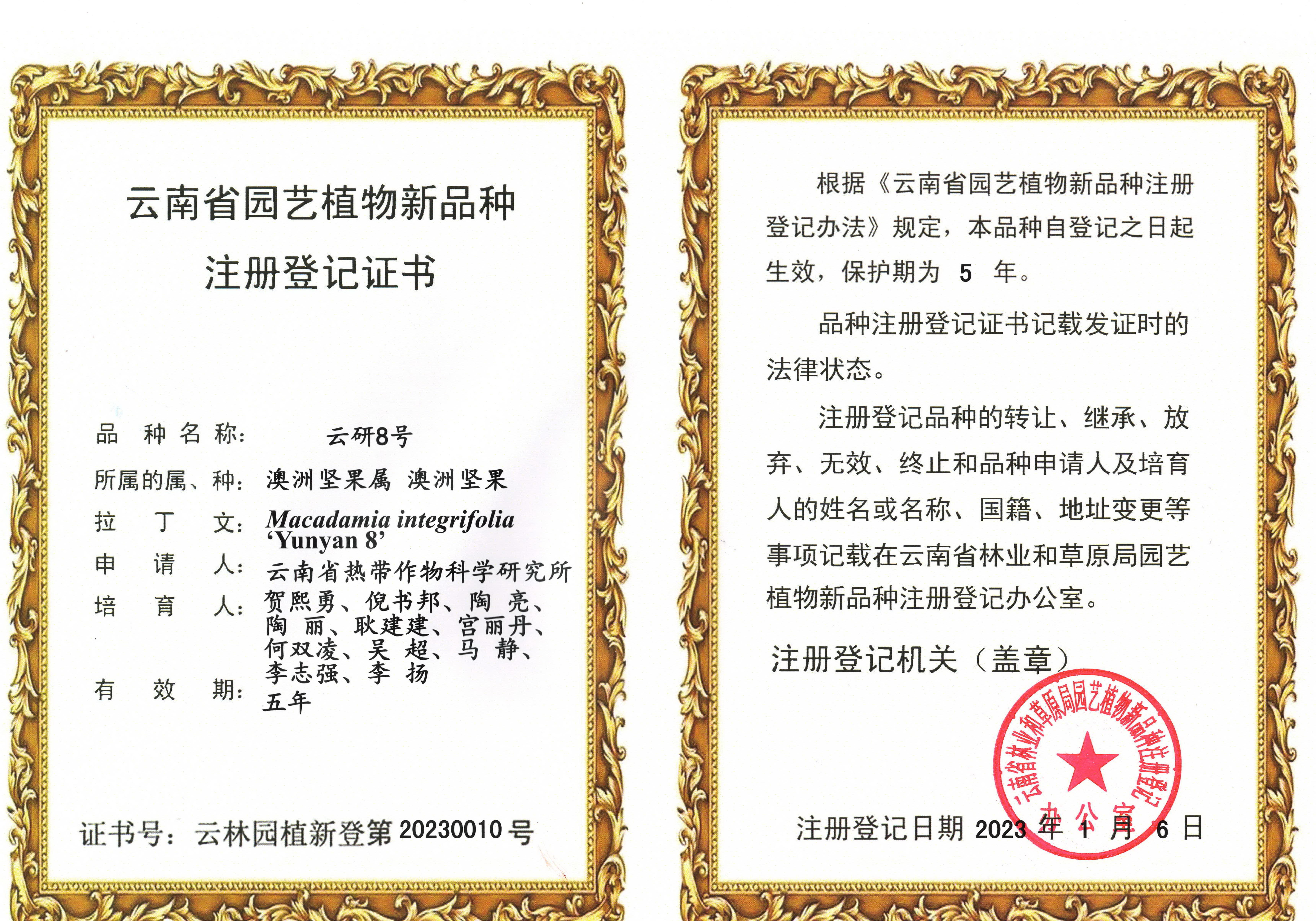 植物新品种云研8号注册登记证书.jpg