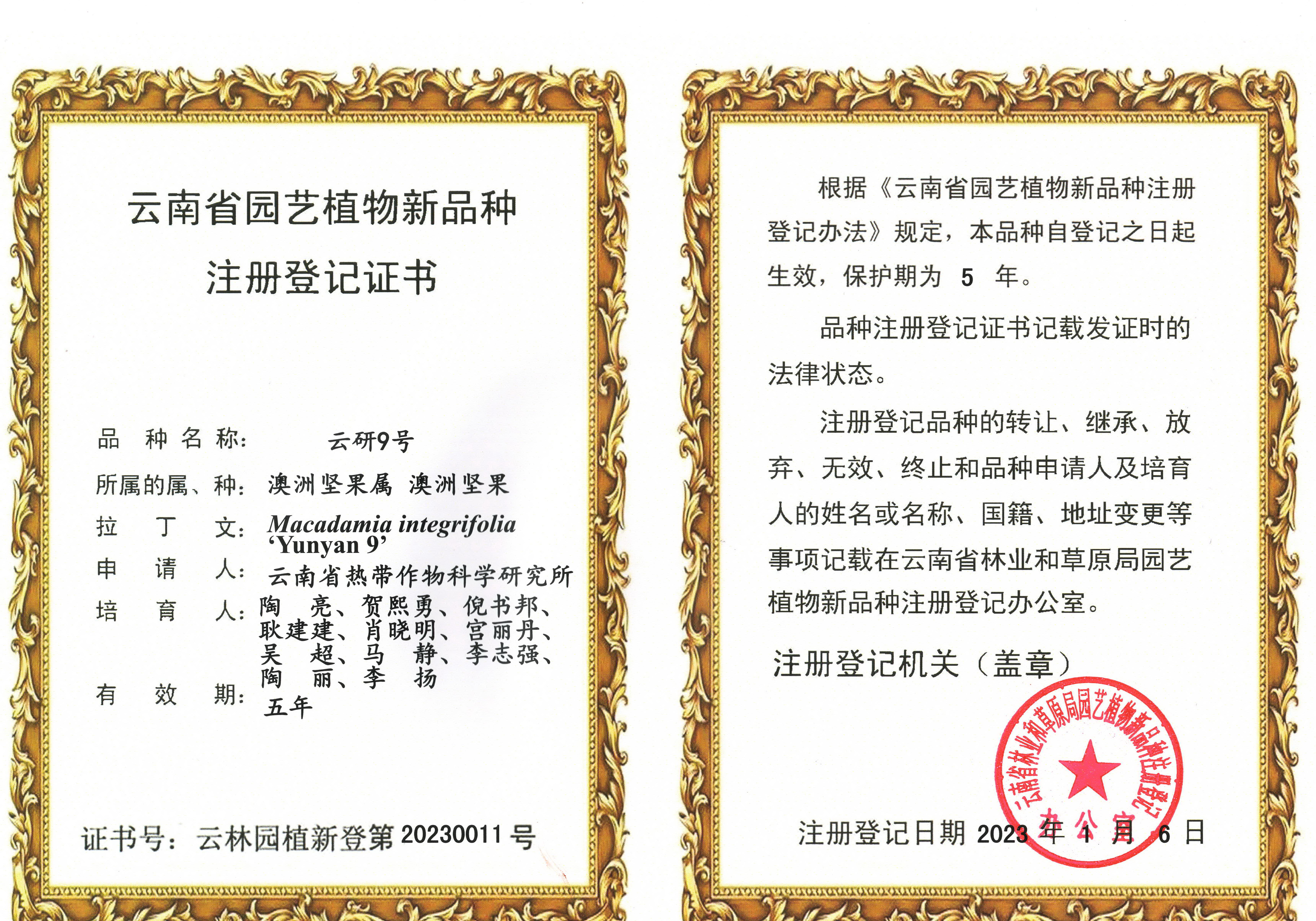 植物新品种云研9号注册登记证书.jpg