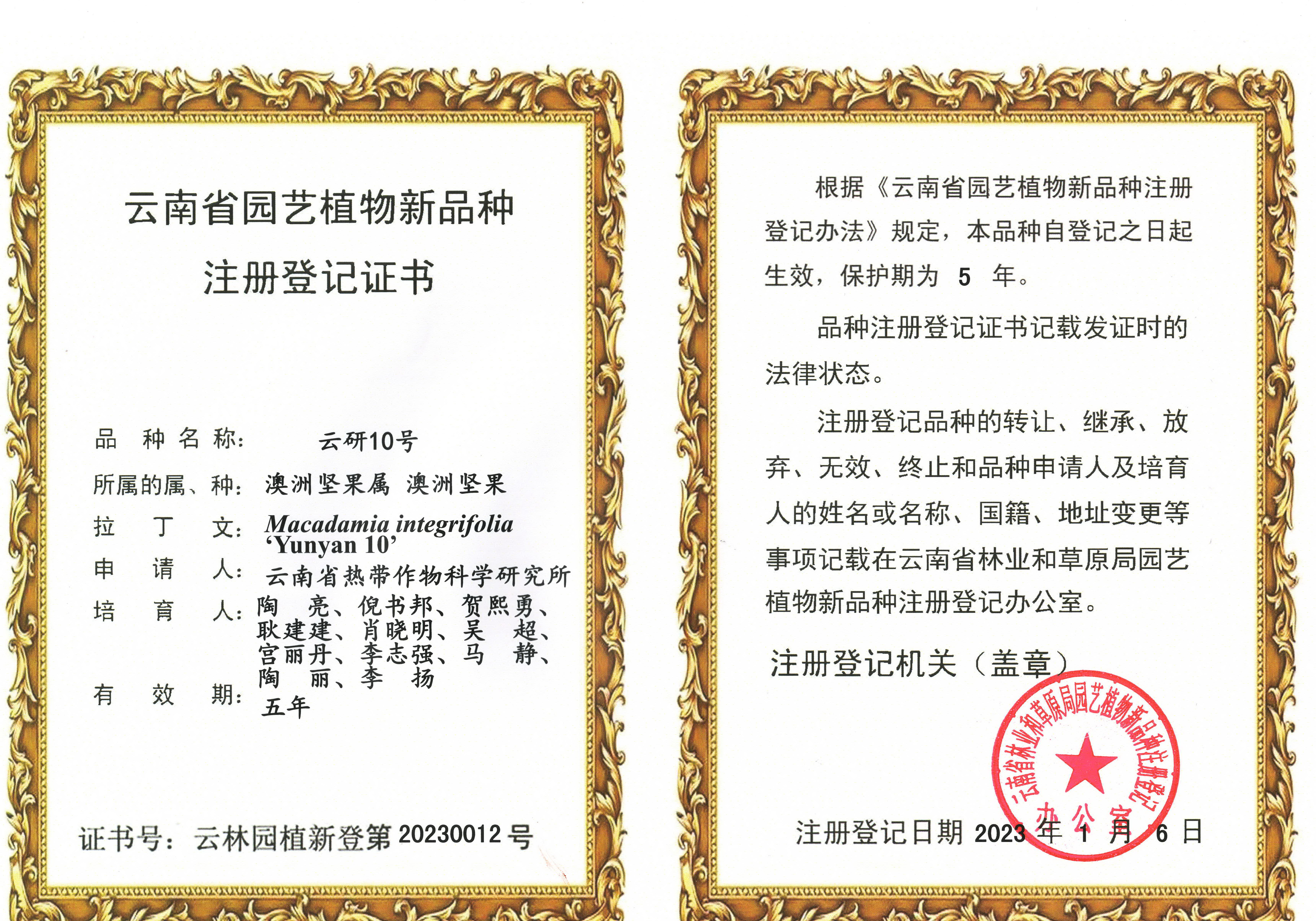 植物新品种云研10号注册登记证书.jpg