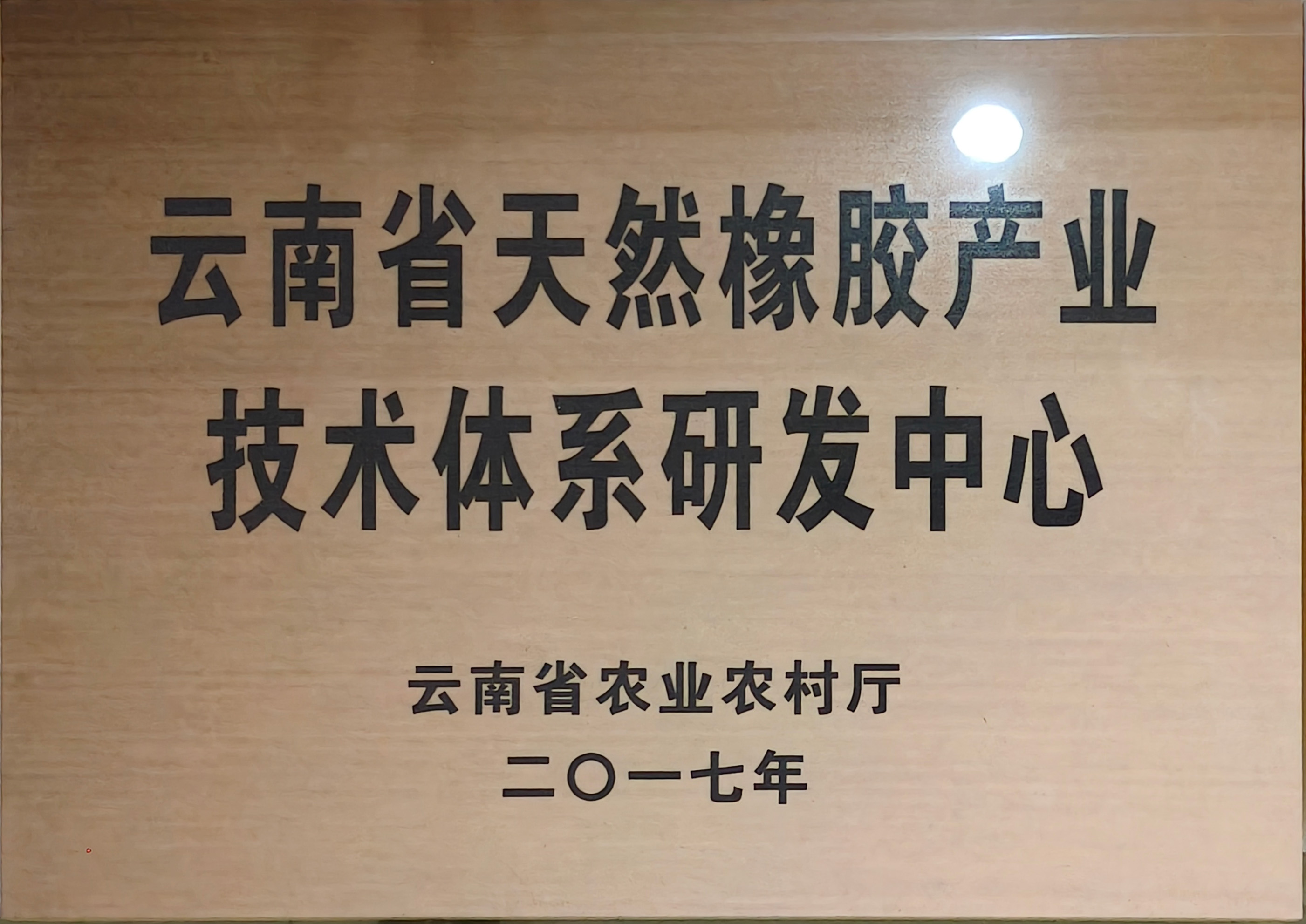 云南省橡胶产业技术体系