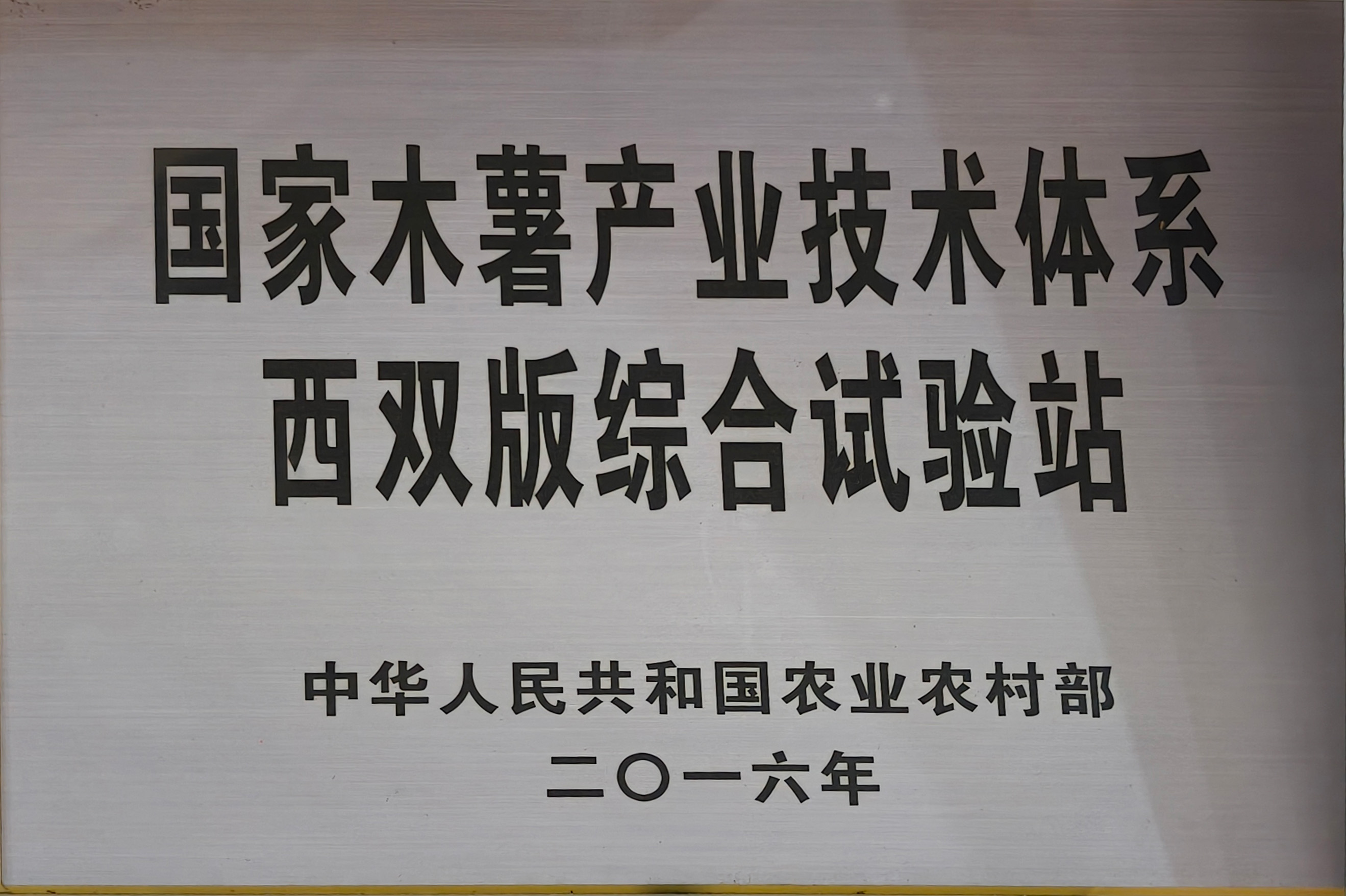 国家现代木薯产业体系西双版综合试验站