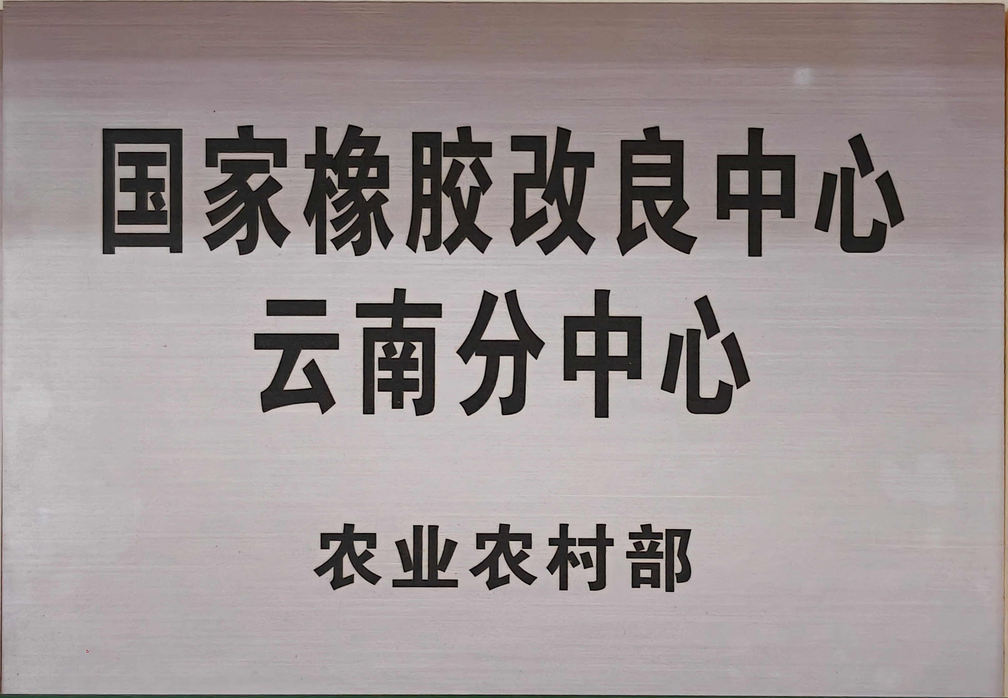 国家橡胶改良中心云南分中心