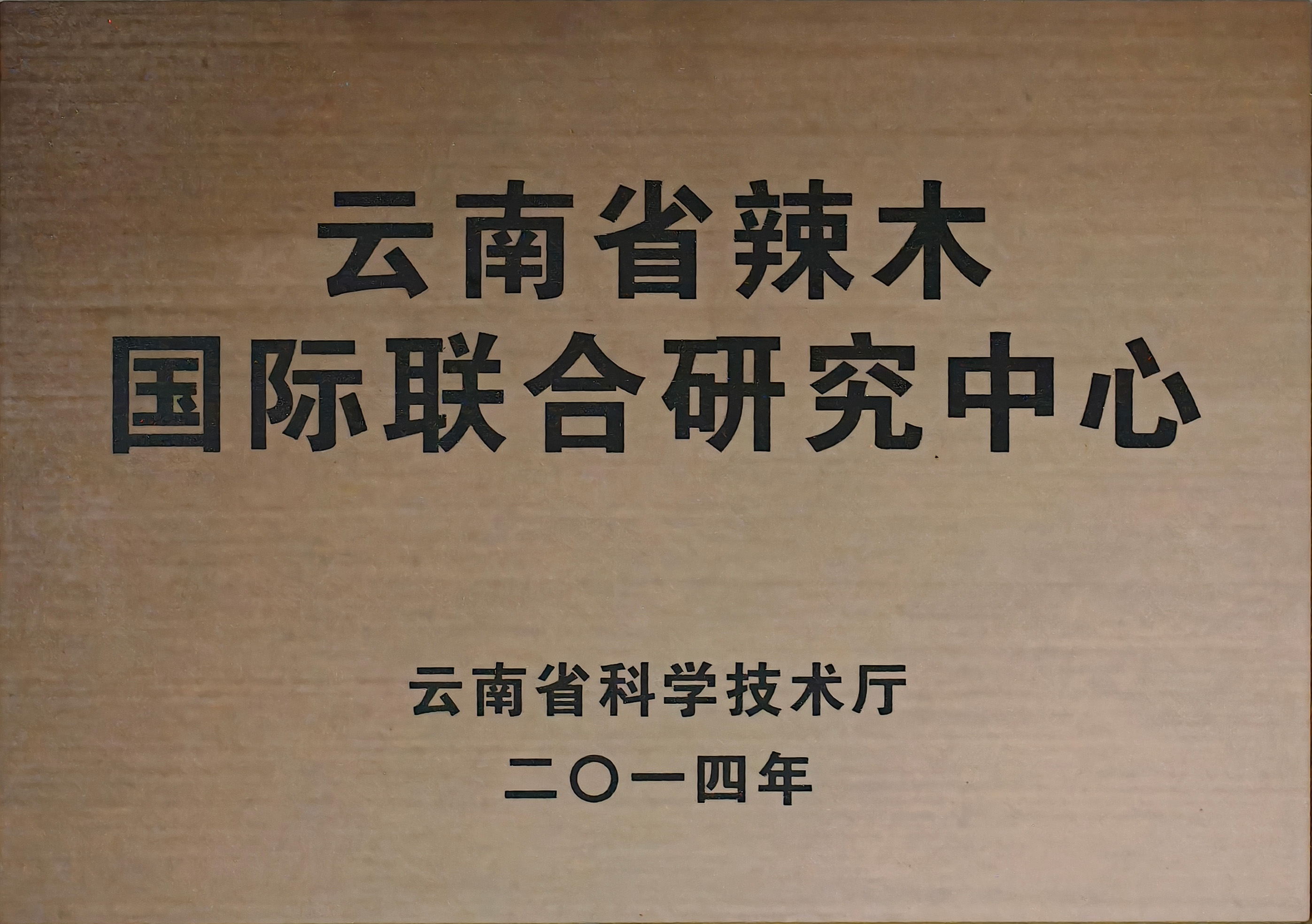 云南省辣木国际联合研究中心