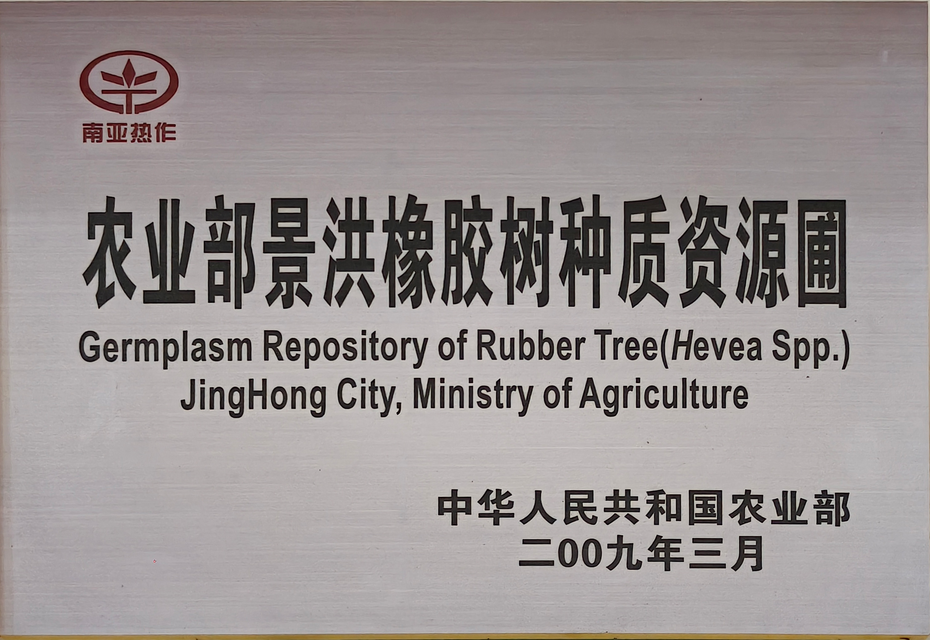 农业部景洪橡胶树种质资源圃