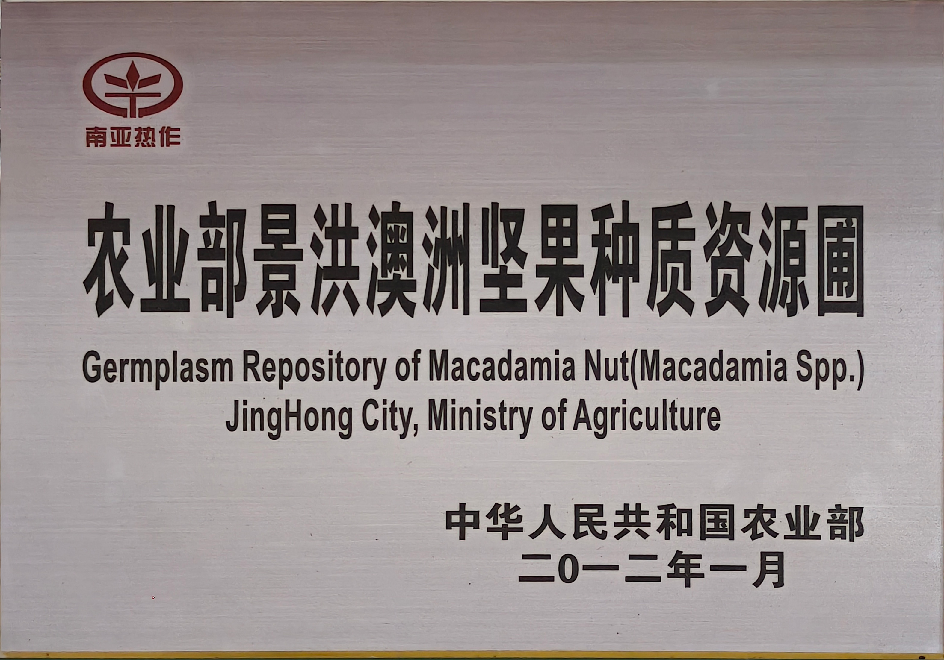 农业部景洪澳洲坚果种质资源圃