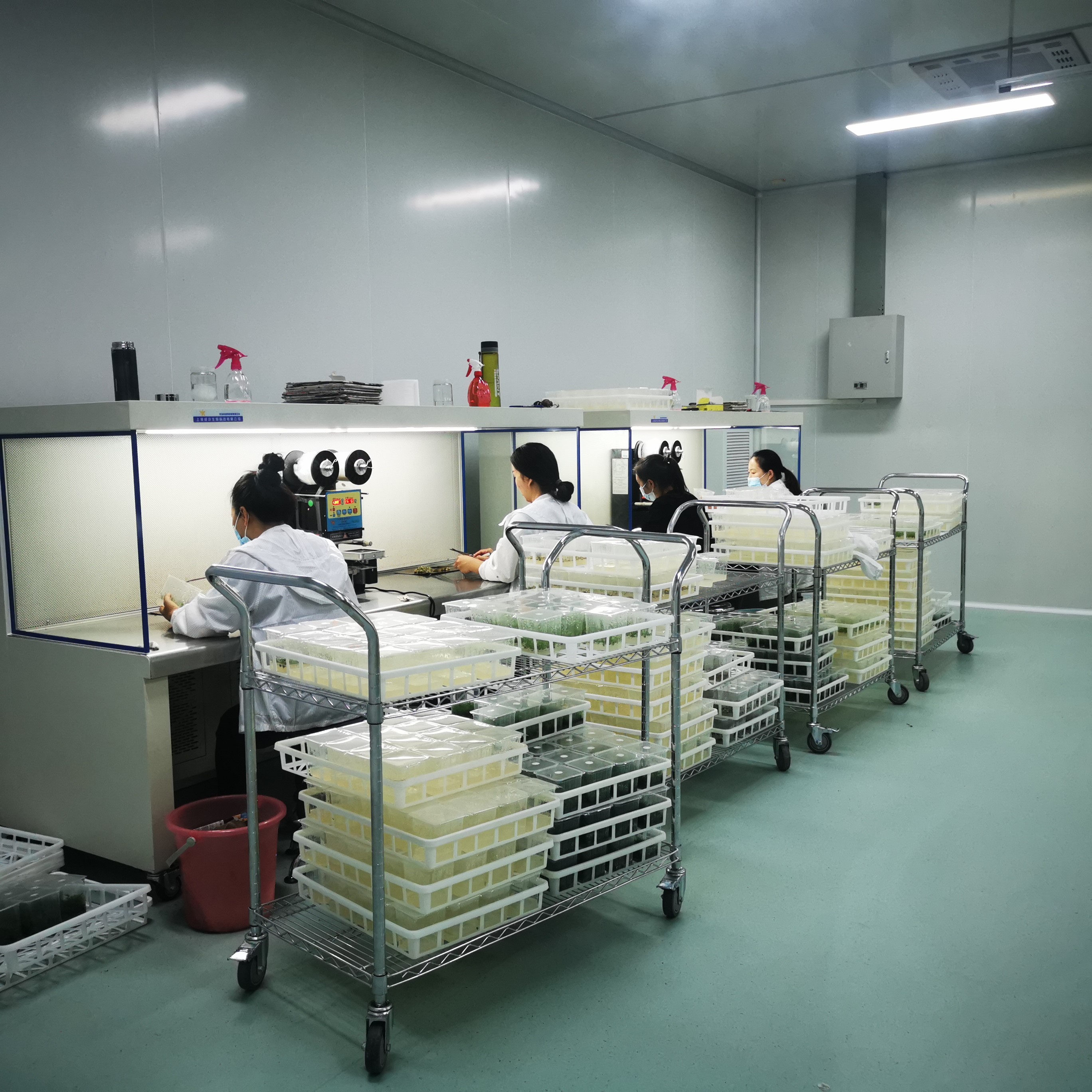 新品种繁育中心