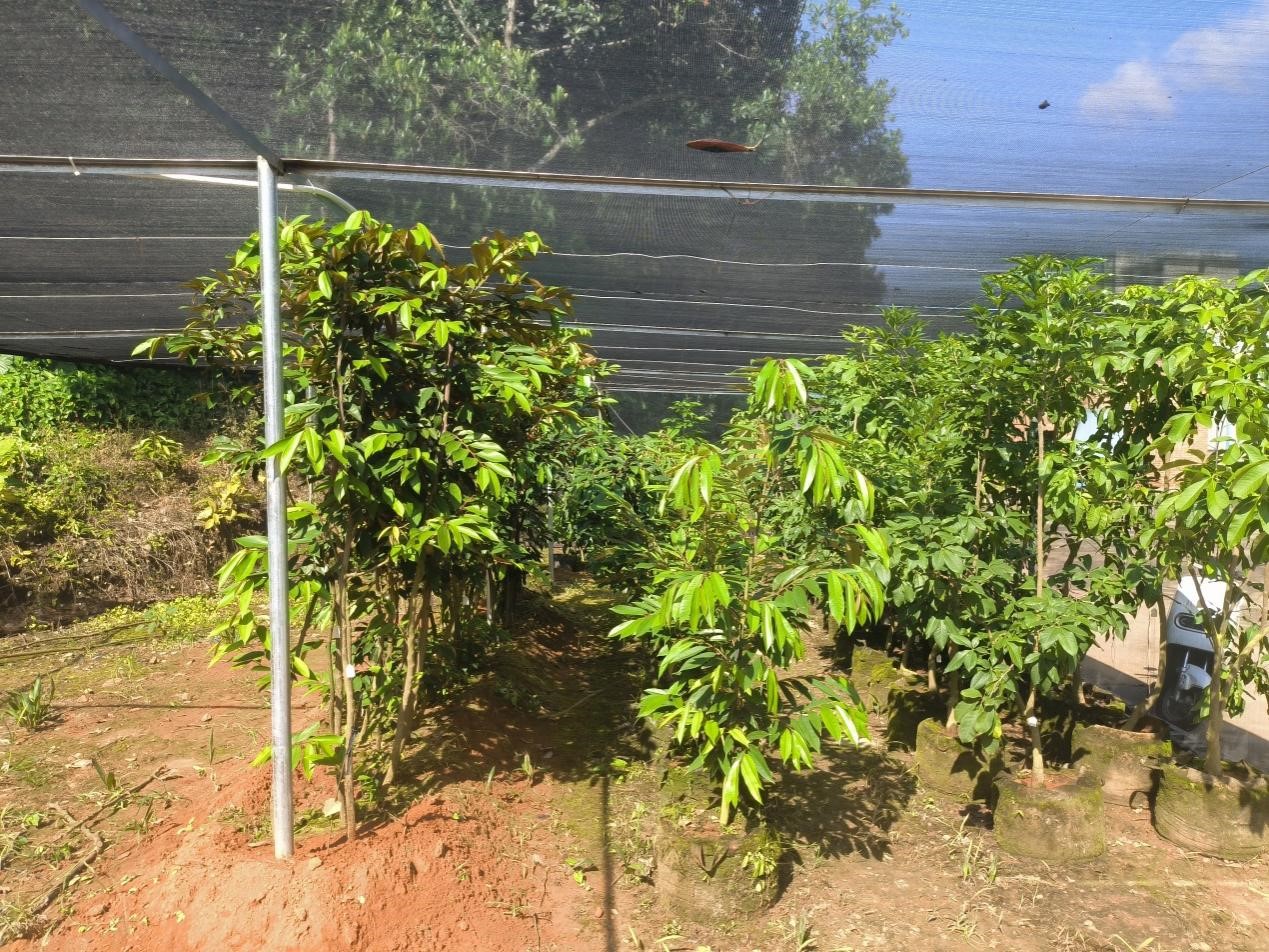 “高、新、奇、特、优”种质资源保存