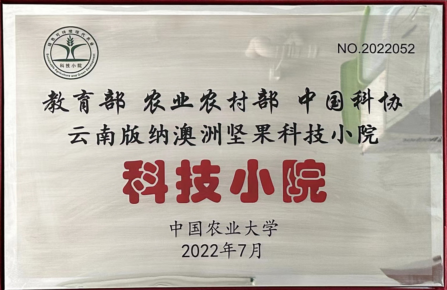 云南版纳澳洲坚果科技小院-牌匾