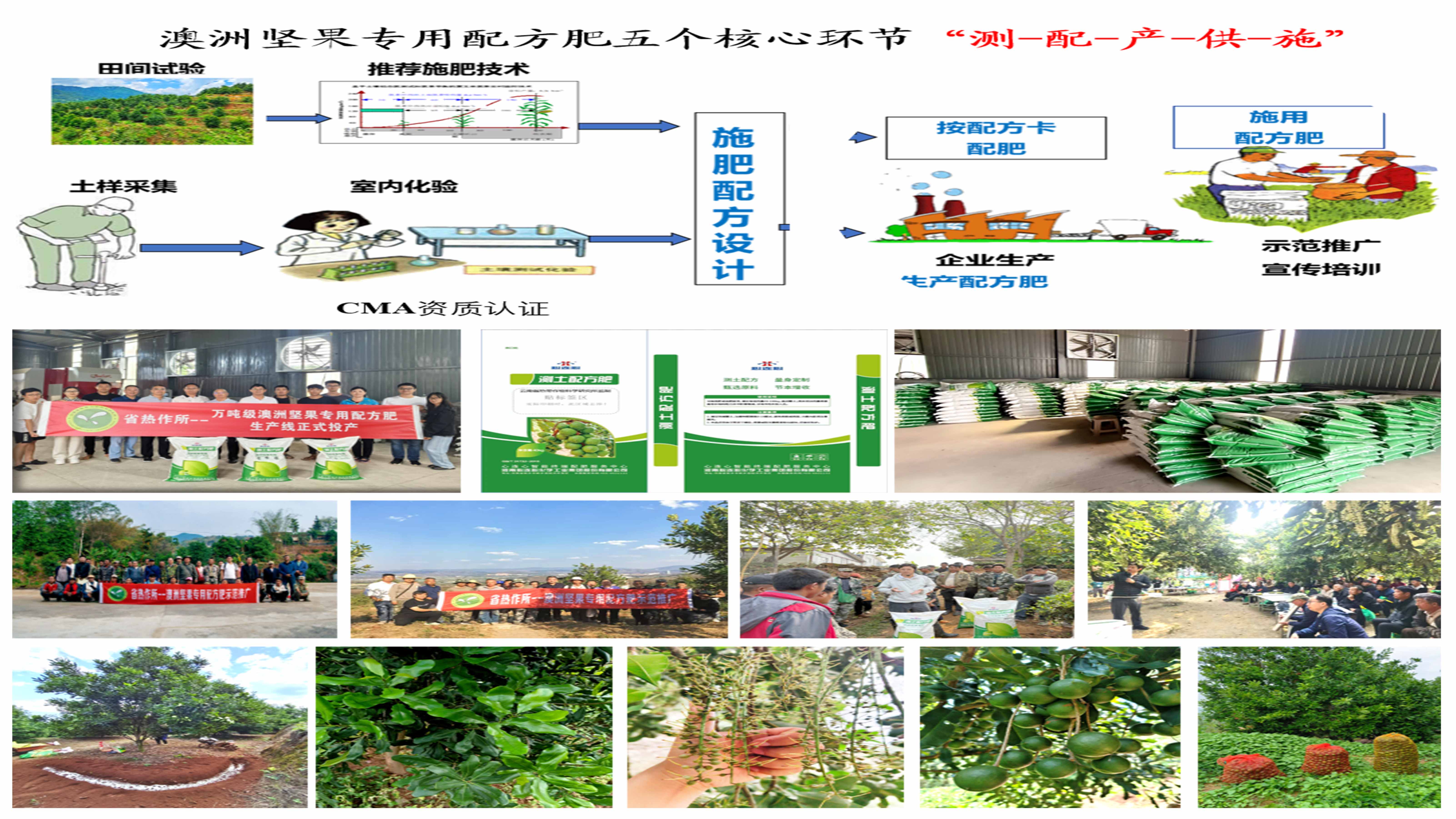 配方肥生产和推广