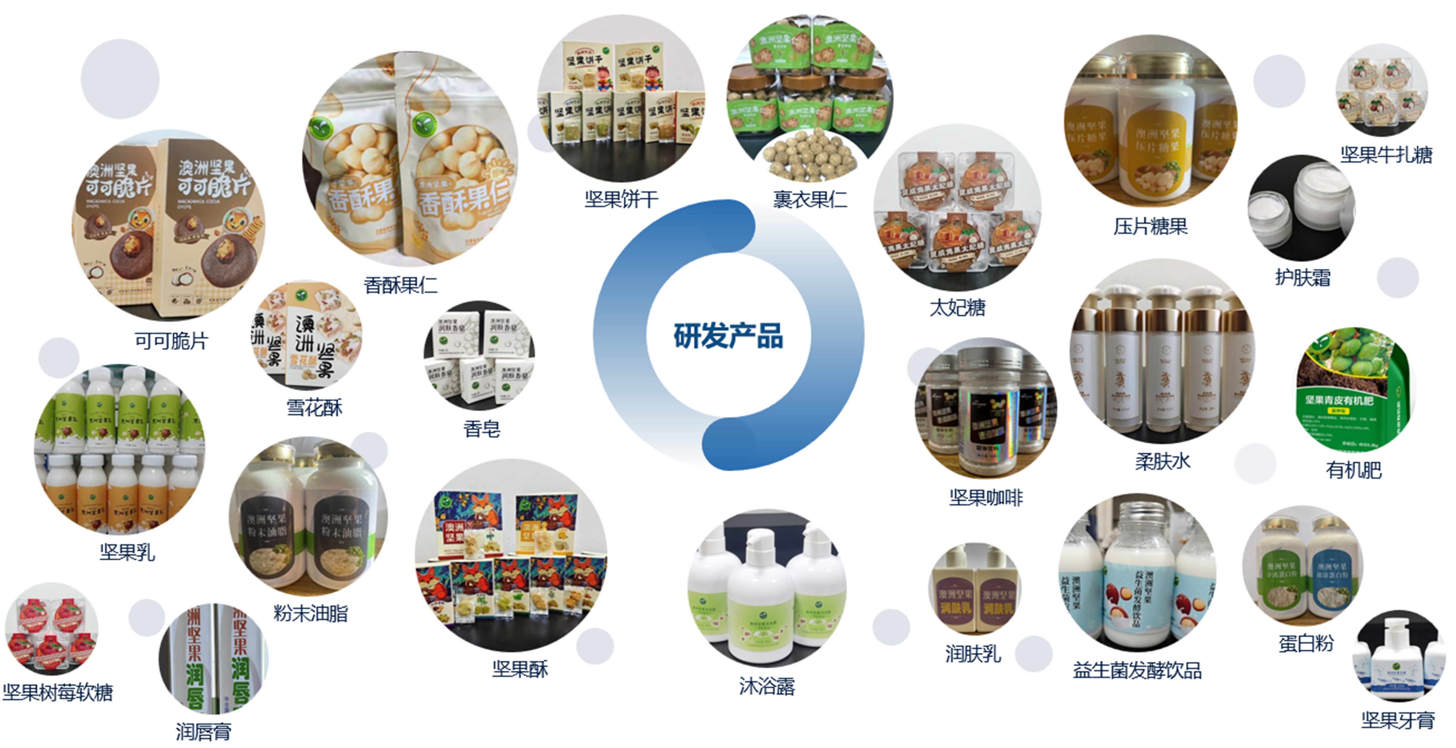 澳洲坚果精深加工与副产物产品