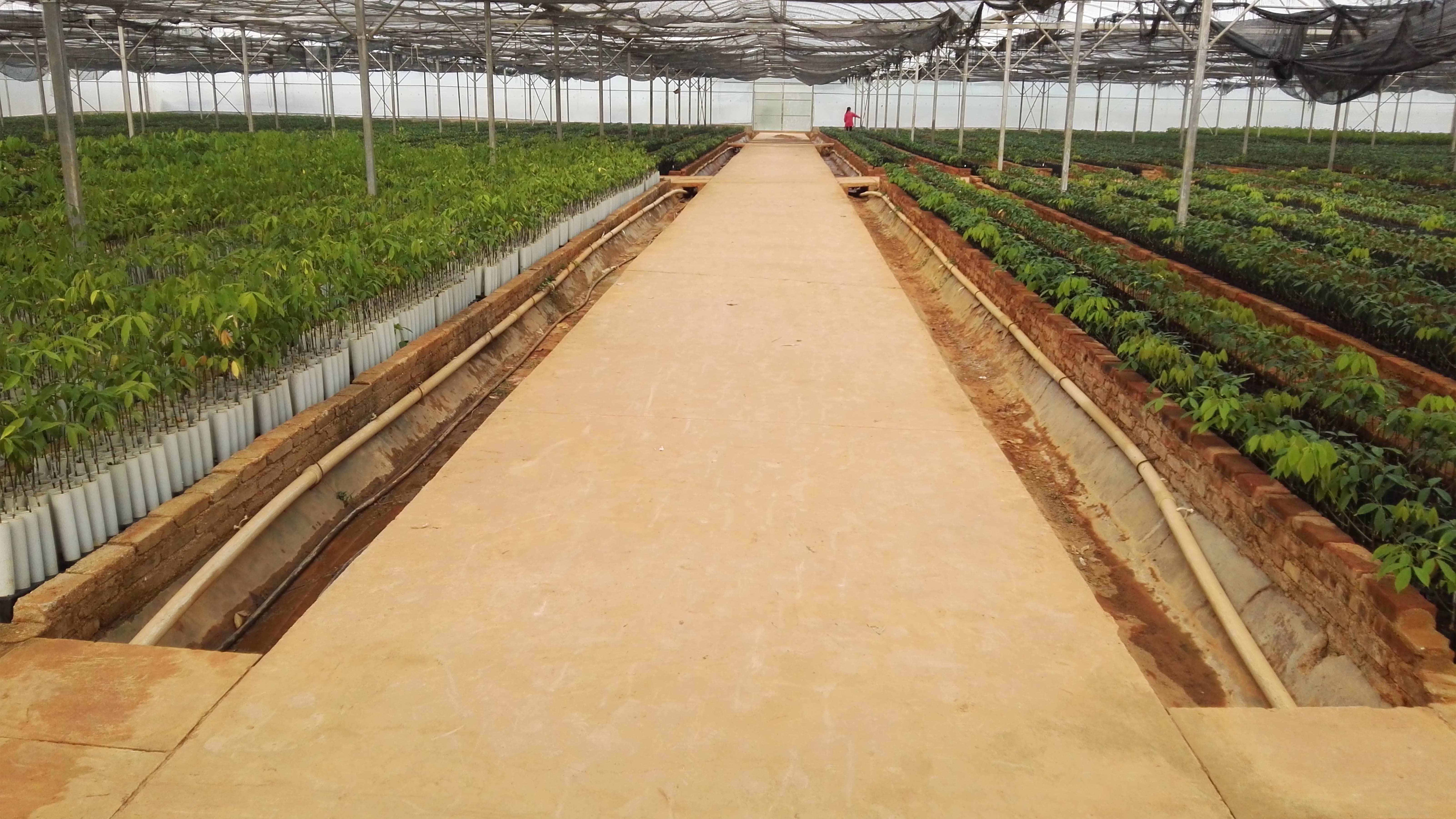 设施化生产基地